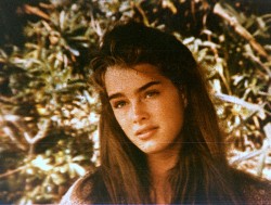 brooke